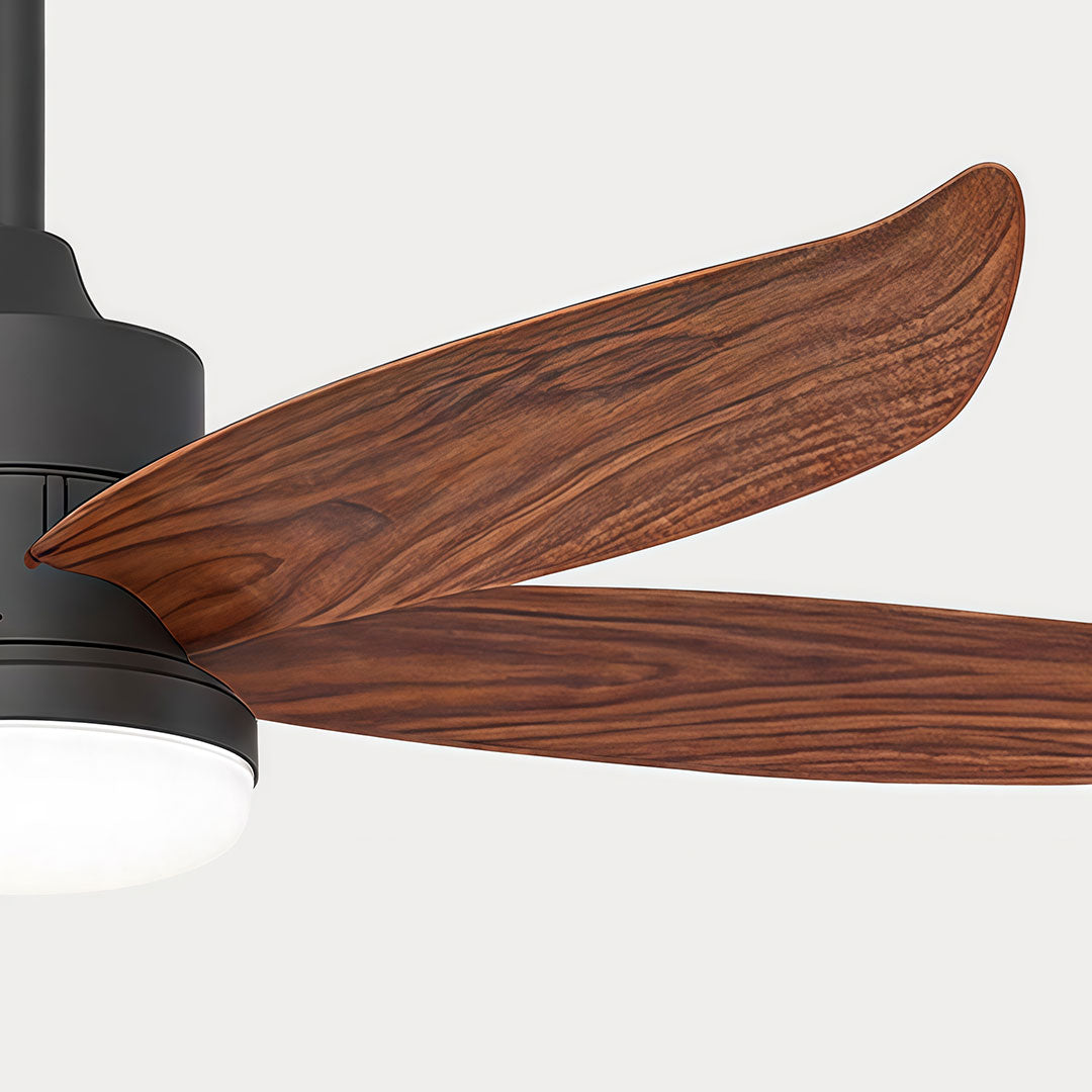 Modern Ceiling Fans with Lighting Outdoor Rainproof LED Light - view 5