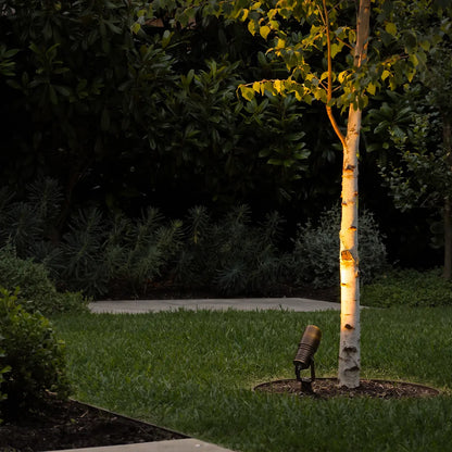 Floor Spotlights Low Voltage Copper Outdoor Waterproof COB Light