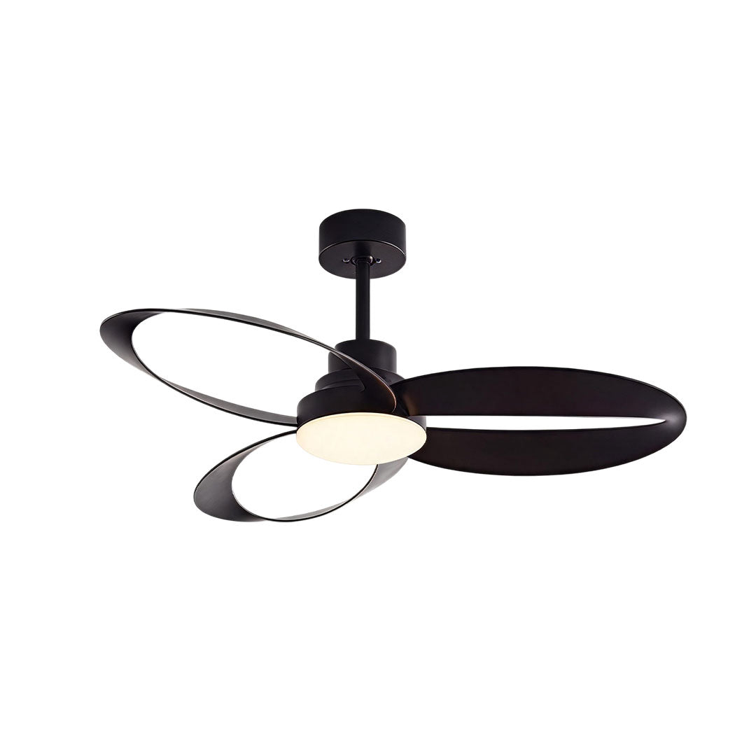 Modern Ceiling Fans with Light Full Spectrum Variable Speed Lamp - view 14
